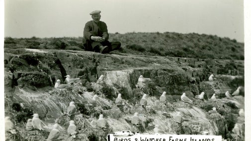 Archive image of watcher Alec Cormack looking at the birds on the Farne Islands, Northumberland, 1936.